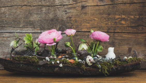 Forårs dekoration med rosa ranunkler og vibeæg i fad